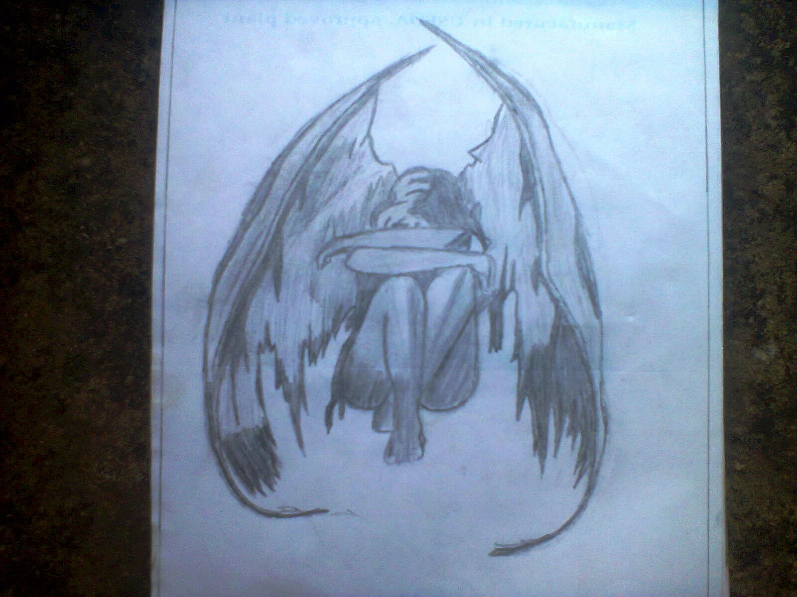 mayarts